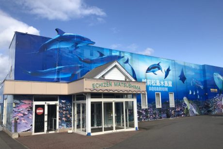 ★受付期間終了★【プレゼント】越前松島水族館の「入場無料券」を5名様にプレゼント！