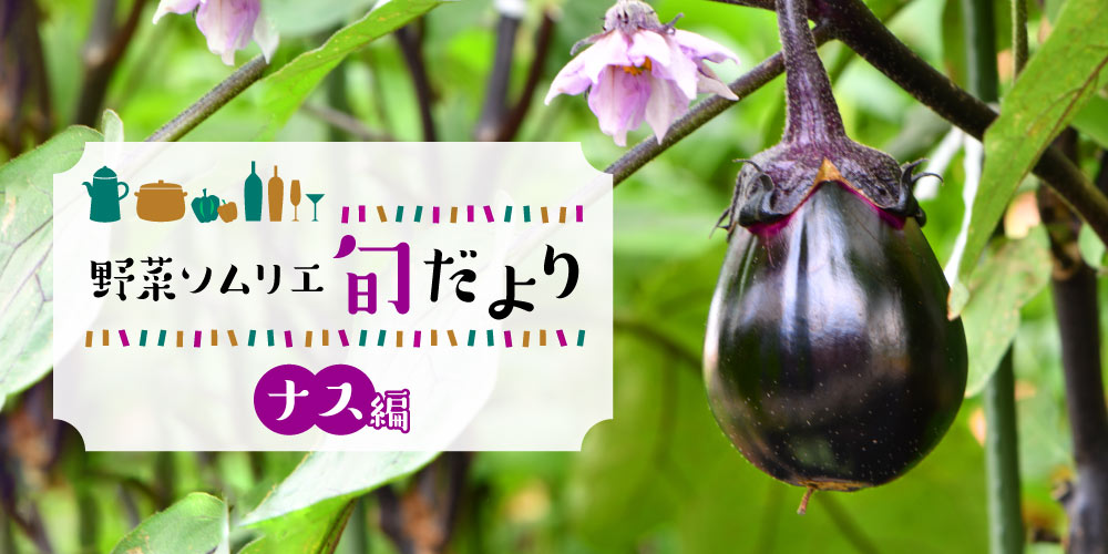 焼いて、煮込んでトロっと美味しい♪ 福井のナス＆おすすめレシピをご紹介！【野菜ソムリエ旬だより】