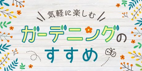 気軽にはじめるガーデニングのすすめやコツ。植物の選び方や、秋冬にしておきたい庭のお手入れ法を伝授。