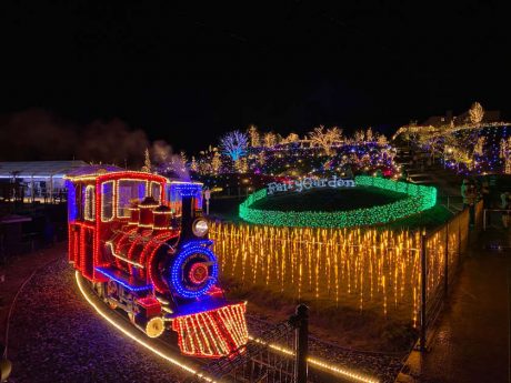 滋賀県米原市の「ローザンベリー多和田」で関西最大級規模のイルミネーションが楽しめるよ！ 【ちょいネタ】