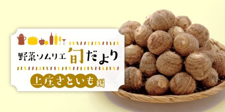 もちもち食感がたまらない♪ 福井のブランド野菜「上庄さといも」の魅力を紹介！ 【野菜ソムリエ旬だより】
