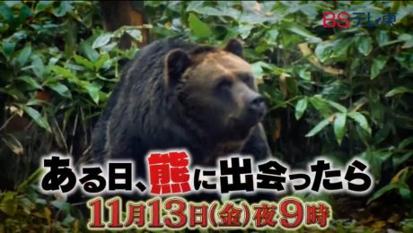モーニングショーでも使われた「クマ疾走動画」が、本日11月13日（金）に放送されるBSテレ東「ある日、熊に出会ったら～もしもの時の危機回避術～」で流れます！【ちょいネタ】
