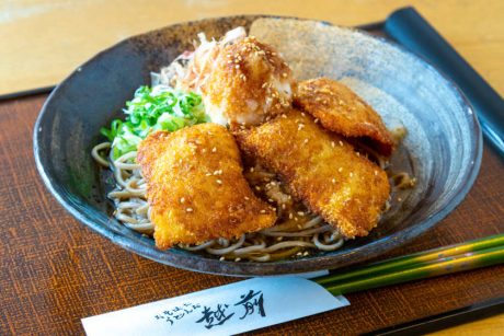 おそばだうどんだ越前