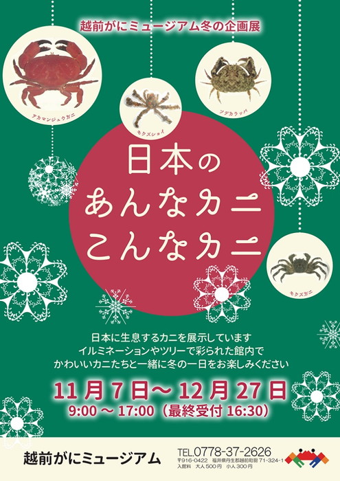 日本のあんなカニこんなカニ 福井の旬な街ネタ 情報ポータル イベント ふーぽ