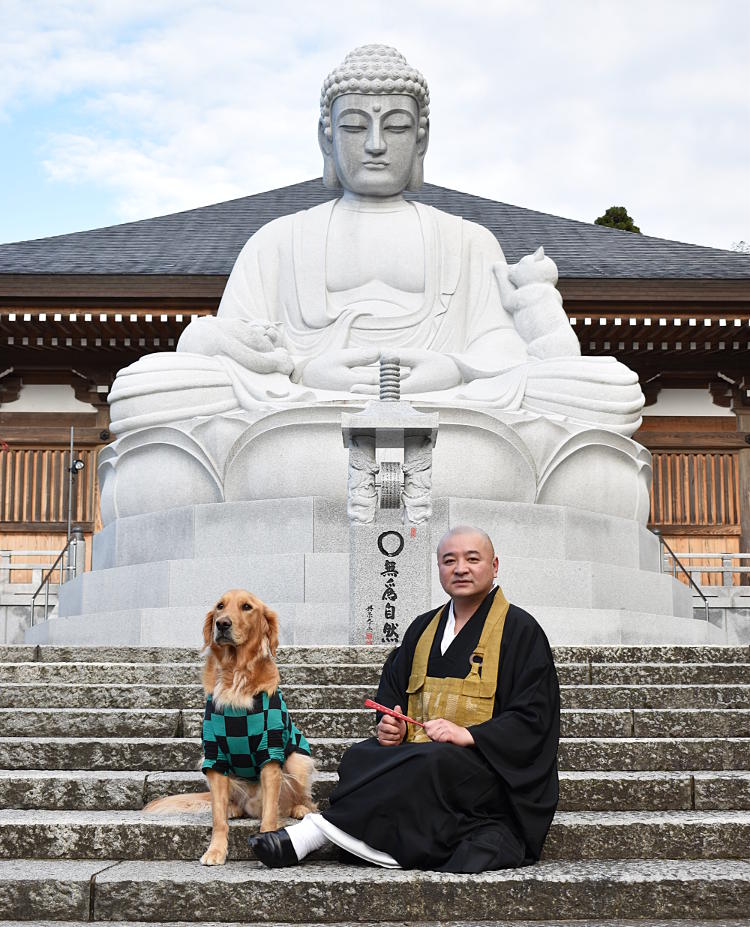 猫寺 で知られる越前市の御誕生寺 本堂前に鎮座する全長7mの大仏さまのお膝の上に 猫が2匹のってるよ 福井の旬な街ネタ 情報ポータル 読みもの ふーぽ