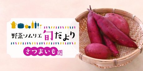 しっとりほくほく♪福井が誇るあま～い「さつまいも」の魅力を紹介！ 【野菜ソムリエ旬だより】