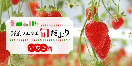 あま～くて美味しい旬の到来♪「いちご」のアレコレを紹介！ 【野菜ソムリエ旬だより】