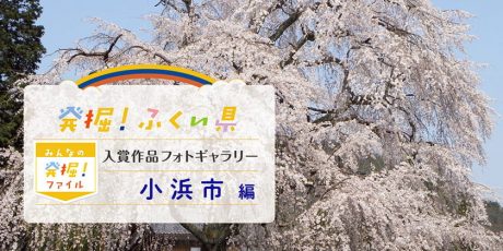 【発表♪ みんなの発掘ファイル】小浜市のおすすめスポットを写真で紹介。次回は越前町の写真を募集中！ ～発掘！ふくい県～