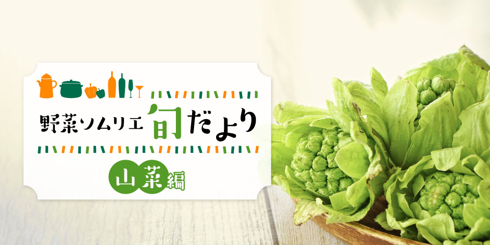 春の味覚を楽しもう♪大地のごちそう「山菜」をご紹介！ 【野菜ソムリエ旬だより】