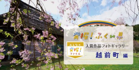 【発表♪ みんなの発掘ファイル】越前町のおすすめスポットを写真で紹介。次回は大野市の写真を募集中！ ～発掘！ふくい県～