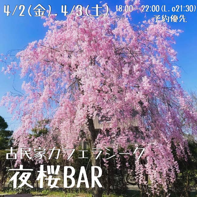 夜桜BAR in 古民家カフェラシーク メイン画像