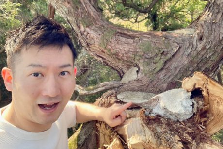 笑福亭笑生の「庭の折れた木の中から意外なものが出てきたお話。」【福井よしもと芸人日記】