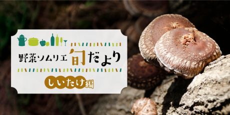 抜群の香りとふんわり食感♪ 旨味たっぷりな「しいたけ」をご紹介！ 【野菜ソムリエ旬だより】