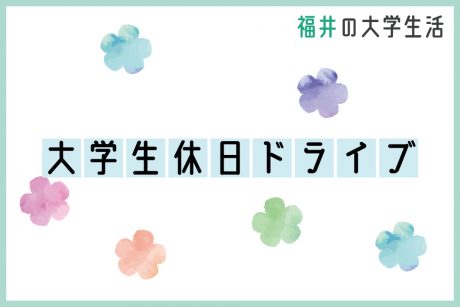 車でどこに出掛けるの？ 大学生休日ドライブ