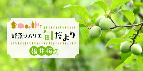果肉たっぷり♪甘くフルーティーな香りも魅力の「福井梅」をご紹介！ 【野菜ソムリエ旬だより】