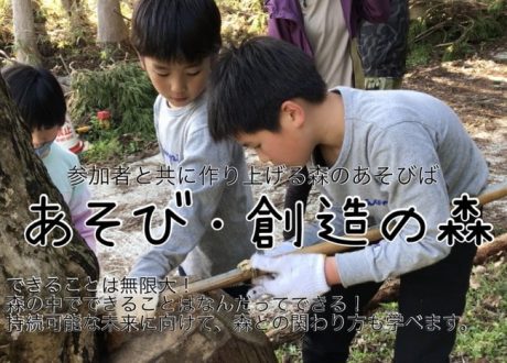 あそび・創造の森プロジェクト