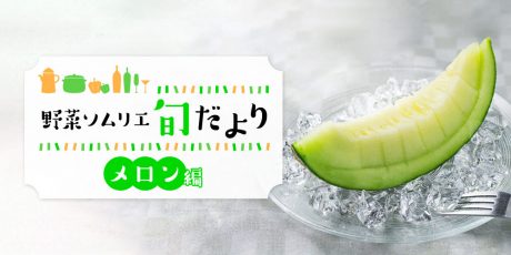 芳醇な香りと甘みたっぷり! ジューシーな「メロン」をご紹介！ 【野菜ソムリエ旬だより】