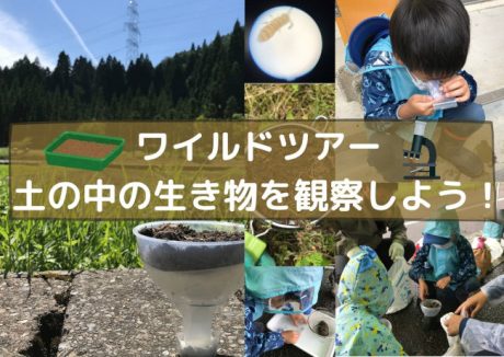 ワイルドツアー　土の中の生き物を観察しよう！