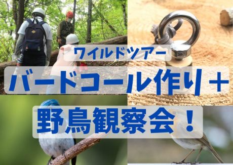 ワイルドツアー　バードコール作り＋野鳥観察会！
