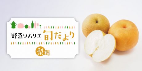 すっきりとした甘さが人気！ みずみずしい福井の梨を味わおう♪ 【野菜ソムリエ旬だより】