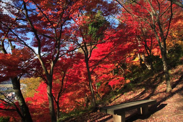 福井県17市町村の 紅葉スポット 全解説 名所から穴場まで見頃を公開 福井の旬な街ネタ 情報ポータル 読みもの ふーぽ