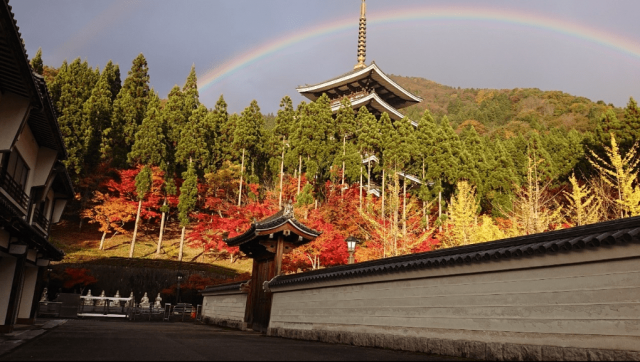 福井県越前大仏清大寺の紅葉の画像
