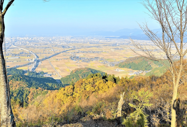 福井県「文殊山」の」紅葉の画像