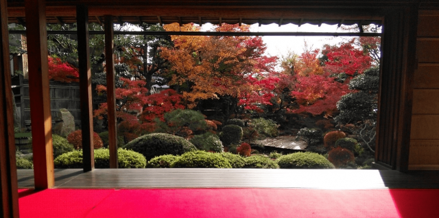 福井県「陽願寺」の紅葉