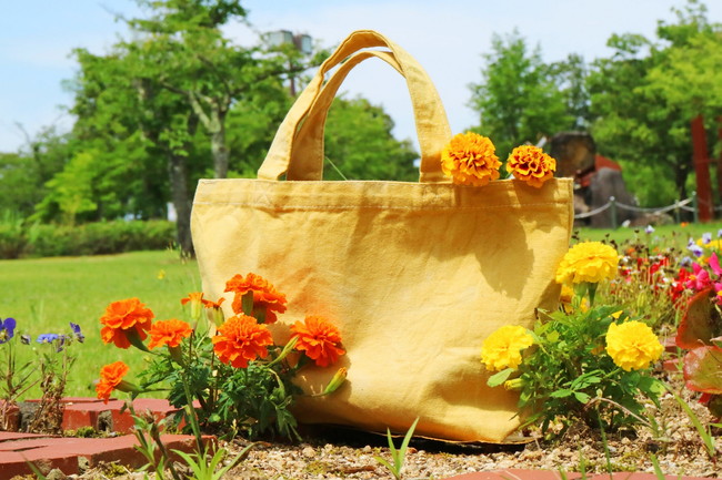 陶芸公園で草木染とガーデンカフェ「マリーゴールドで染めるトートバッグ」 メイン画像