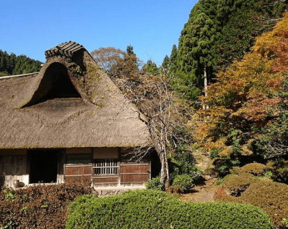 福井県「千古の家」の紅葉