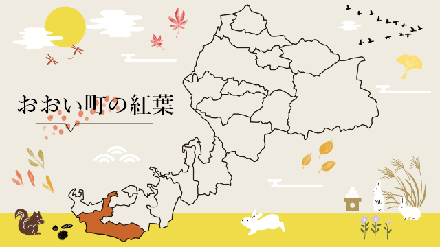 おおい町の紅葉