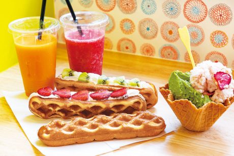 福井県内にここ最近オープンした4店を紹介します! ~チーズと胡椒、Beauty Salon rirema、むつのはな、ジェラート&ワッフルバー ましゅまろ~