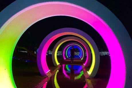 坂井市「ゆりの里公園」で気分アゲアゲなイルミネーションをやってるよ。公園の守り神！？ 神々しい鹿も新たに降臨！