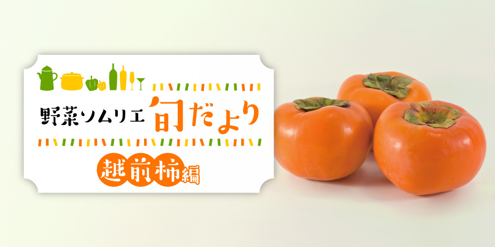 ふくいの秋を彩る風物詩♪ 甘く美味しい越前柿をご紹介！ 【野菜ソムリエ旬だより】