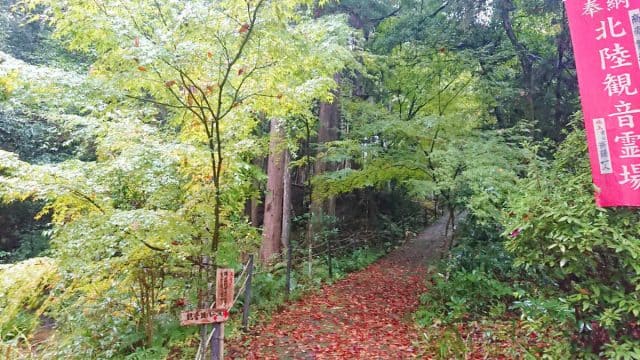 福井県「馬居寺」の紅葉の画像