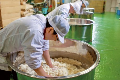 豊かな風土が醸す福井の美味しいお酒。伝統を守りながら進化を続ける、若手蔵元も紹介。