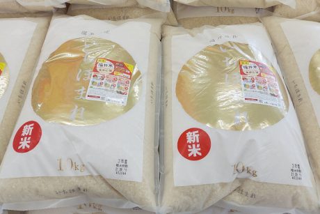 飯めしあがれこにおの「今年も新米の季節がやってきた！！ 福井県ブランド米いちほまれをめしあがれ」【福井よしもと芸人日記】