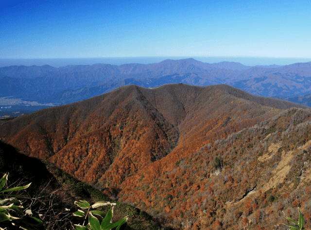 福井県「法恩寺山」の紅葉の画像