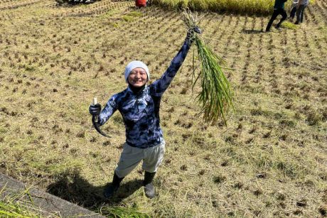 笑福亭笑生の田んぼオーナー制度を利用した稲刈りのお話〜！【福井よしもと芸人日記】
