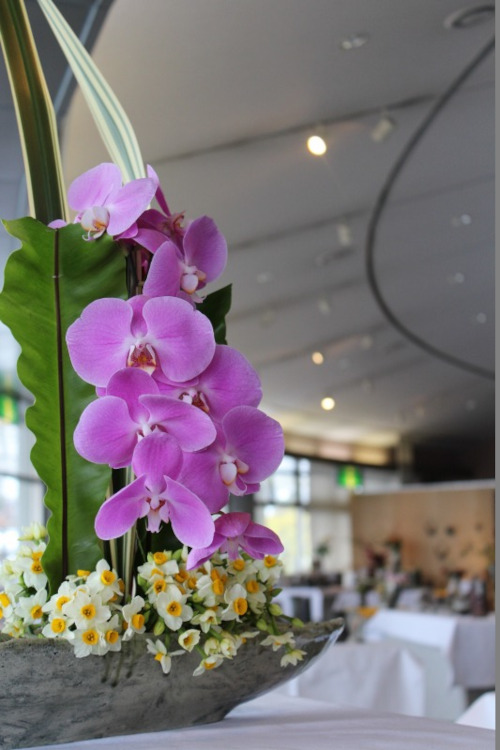 水仙と越前花器の甘いささやき2021 メイン画像