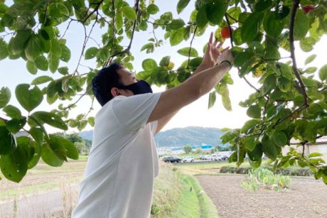 福井県住みます芸人の笑福亭笑生。柿の収穫しました～。【福井よしもと芸人日記】