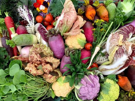 ★受付期間終了★【2022お年玉プレゼント】ワトム農園より野菜詰め合わせセットを3名様にプレゼント！