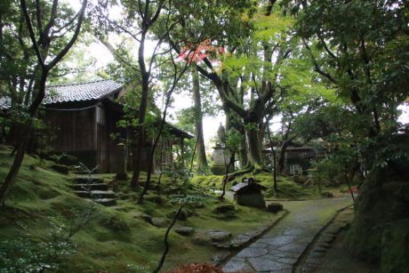 ★受付期間終了★【2022お年玉プレゼント】丹巖洞より「おまかせランチ」ペアチケットを1名様にプレゼント！
