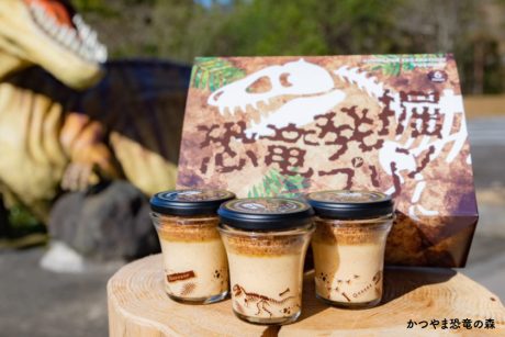 ★受付期間終了★【プレゼントあり】永平寺町「いのうえ株式会社」より「恐竜発掘プリン（6個セット）」を10名様にプレゼント！