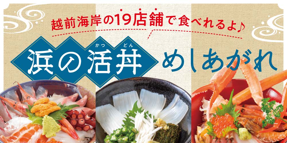 活きのいい丼 召し上がれ 新鮮な海の幸がたっぷりの 浜の活丼 はまのかつどん を食べに行こう 福井の旬な街ネタ 情報ポータル 読みもの ふーぽ