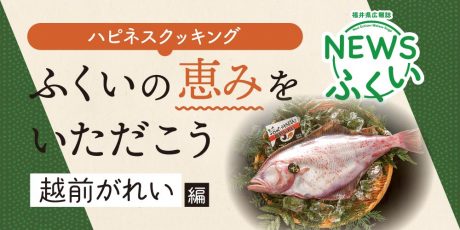 【連載】福井県広報誌『NEWSふくい』毎月第4日曜日発刊。ふくいの恵みをいただく「越前がれい」編を読んでプレゼントに応募しよう！