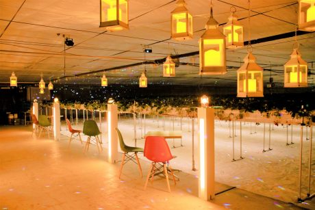 ★受付終了★【プレゼントあり】いちご好きに朗報！ 明城ファームで「ナイトいちご狩り」が始まるよ♪ お得なモニタープランも受付中です。