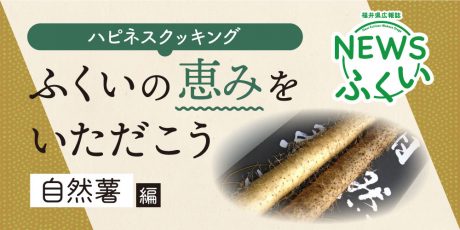 【連載】福井県広報誌『NEWSふくい』毎月第4日曜日発刊。ふくいの恵みをいただく「自然薯」編を読んでプレゼントに応募しよう！