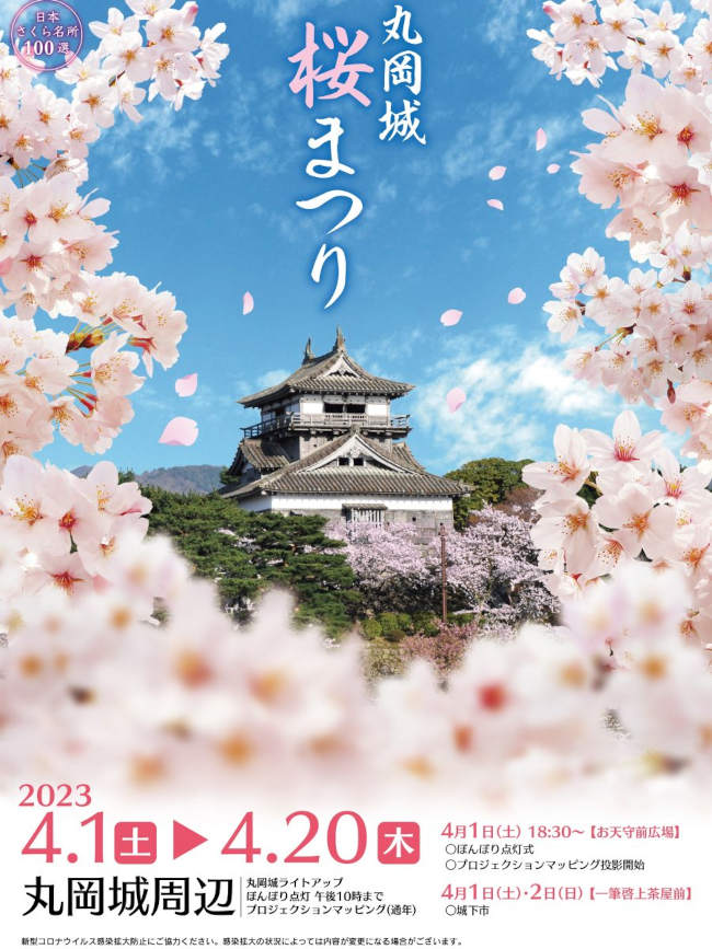 丸岡城桜まつり メイン画像