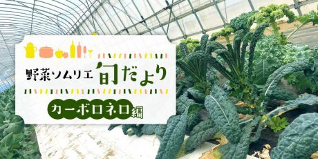 カーボロネロ（黒キャベツ）のおいしい食べ方！栄養・保存方法も解説